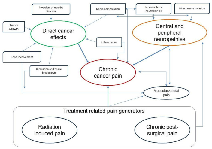 Cancer Pain; All You Need to Know