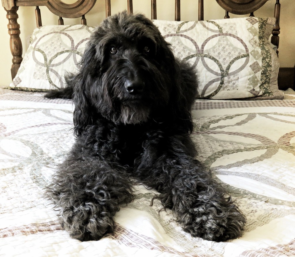 Choosing a Floor Sofa